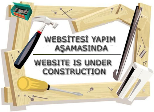 Web Site tasarm